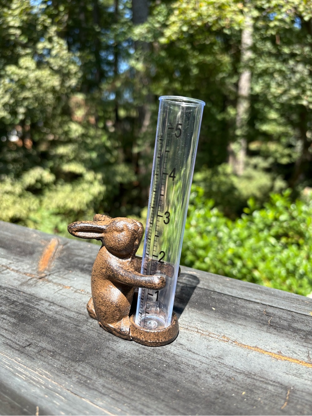 Cast Iron Rabbit Rain Gauge - Picture 2 of 6